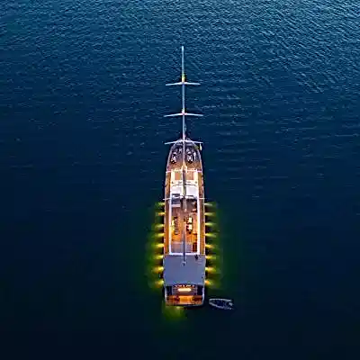 A Marriage Proposal at Sea: The Most Romantic Surprise